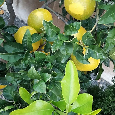 Szálloda Le Chardon Bleu