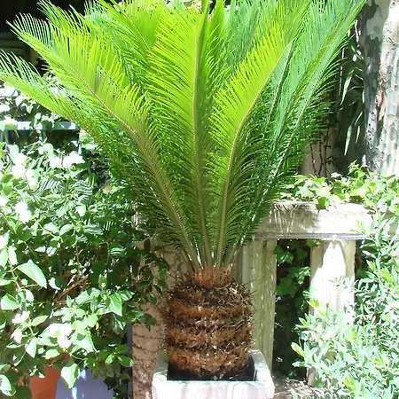 Отель Le Chardon Bleu 3*