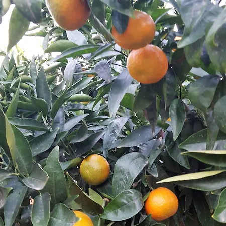 Le Chardon Bleu 3* Сент-Максим