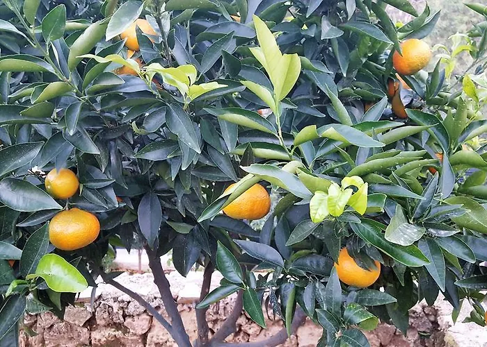 Szálloda Le Chardon Bleu Sainte-Maxime